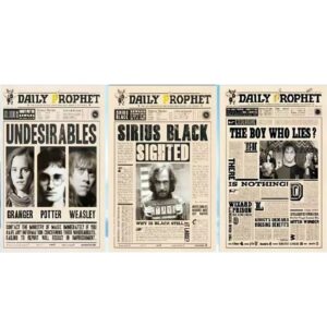 Officially Licensed Harry Potter Sirius Black 3D Lenticular Poster